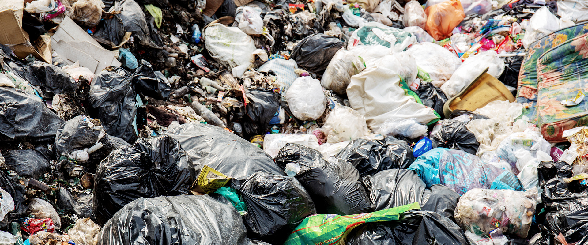 With TJ's Waste Removals, you can expect a seamless, stress-free building experience, with transparent communication and expert oversight at every stage. Contact us today to discuss your project or request a consultation.